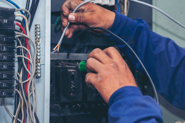 Best Home Electrical Repair  in Fruitport, MI