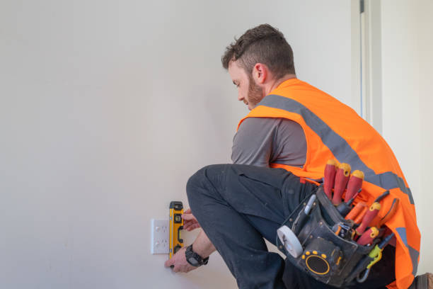 Best Electrical Upgrades for Homes  in Fruitport, MI