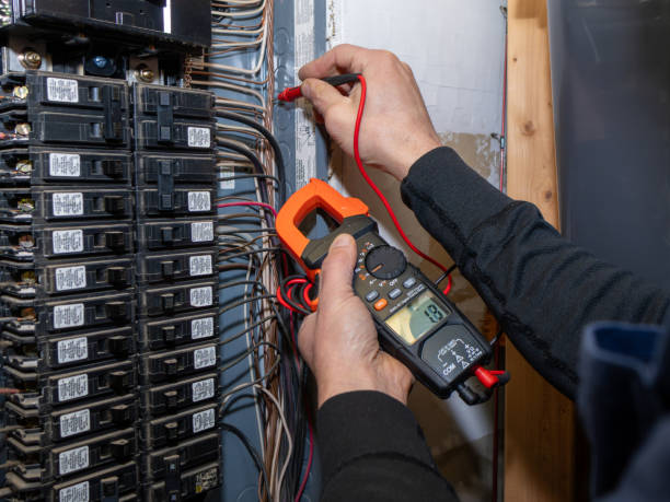 Best Industrial Electrical Services  in Fruitport, MI