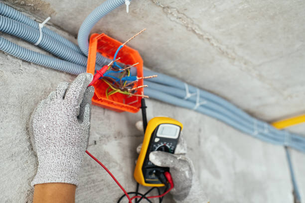 Best Local Electrician Companies  in Fruitport, MI